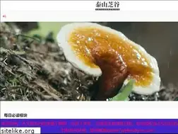 Sites similar to 020cfw.com