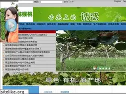 Sites similar to 029mht.com