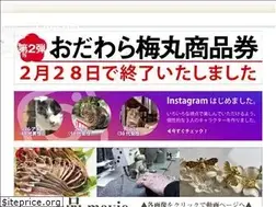 Sites similar to 0465.net