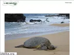 Sites similar to 1-800-molokai.com