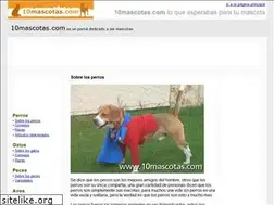 Sites similar to 10mascotas.com
