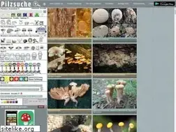 Sites similar to 123pilzsuche.de