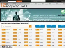 Sites similar to 12buydomain.nl