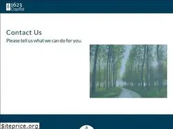 Sites similar to 1623capital.com