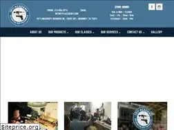 Sites similar to 1911academy.com