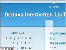 Sites similar to 1ligtvizle.wordpress.com