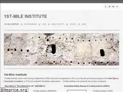 Sites similar to 1st-mile.org