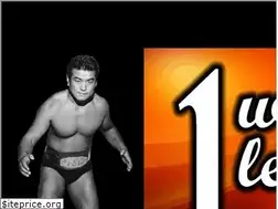 Sites similar to 1wrestlinglegends.com