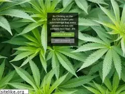 Sites similar to 207genetics.net