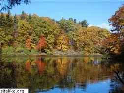 Sites similar to 233photography.com