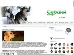 Sites similar to 24dogs.ru