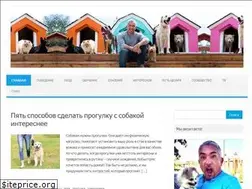 Sites similar to 26dogs.ru