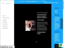Sites similar to 282.cl