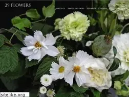 Sites similar to 29flowers.com