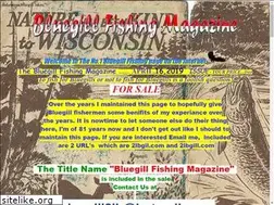 Sites similar to 2lbgil.com