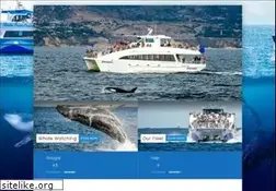 Sites similar to 2seewhales.com