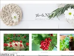 Sites similar to 36-6.net