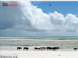 Sites similar to 360impact.ch
