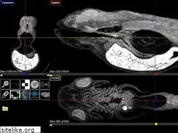Sites similar to 3d.fish