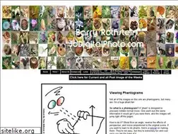 Sites similar to 3ddigitalphoto.com