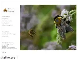 Sites similar to 3oaks-photography.com