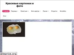 Sites similar to 3xxl.ru
