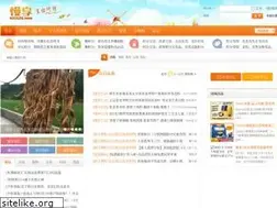 Sites similar to 432520.com