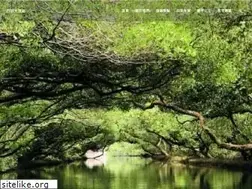 Sites similar to 4grass.com