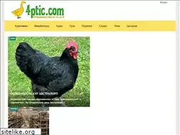 Sites similar to 4ptic.com