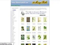Sites similar to 50mucizebitki.com