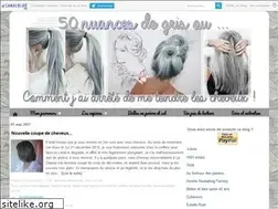 Sites similar to 50nuancesdegris.canalblog.com
