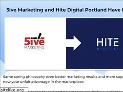 Sites similar to 5ivemarketing.com
