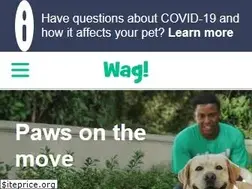 Sites similar to 5stardog.com