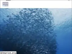 Sites similar to 6000sardine.it