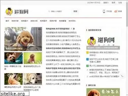 Sites similar to 6gii.com