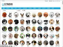 Sites similar to 70797.net