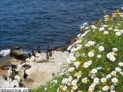 Sites similar to 70milesofcoast.com