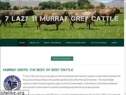 Sites similar to 7lazy11.com