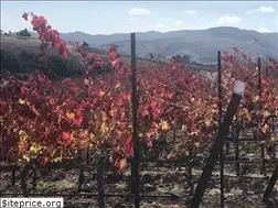 Sites similar to 7storieswine.com