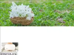Sites similar to 89imo.net