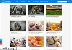 Sites similar to 8wallpapers.com