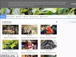 Sites similar to 99photographs.blogspot.in