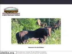 Sites similar to 9lakeoutfitters.com