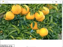 Sites similar to 9puredry.com