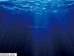 Sites similar to a-marine.co.jp