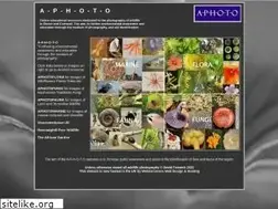 Sites similar to a-p-h-o-t-o.com