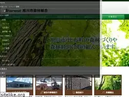Sites similar to a-sinrin.com