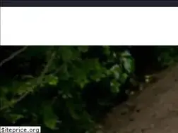 Sites similar to a1septicservicejax.com