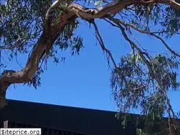 Sites similar to aahardwoods.com.au
