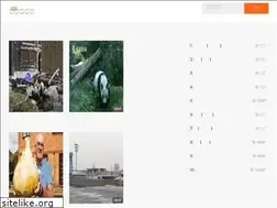 Sites similar to aampro.com